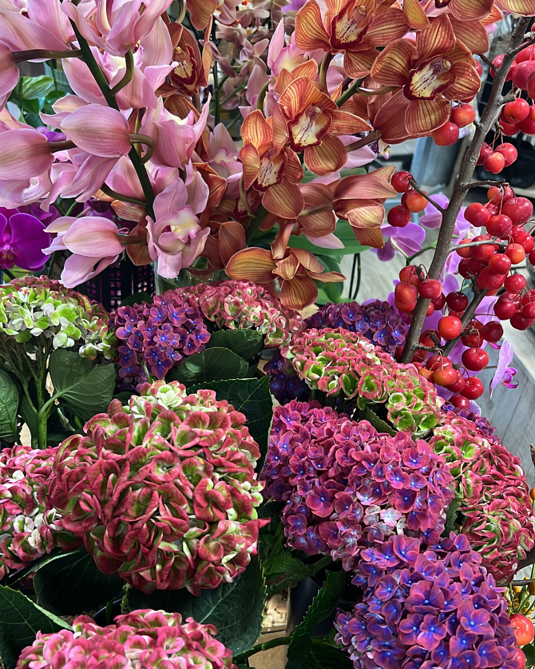 photo of pink petaled flowers